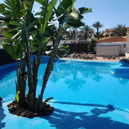 Paraiso Royal Dany & Pina Playa de las Americas  Luaran gambar
