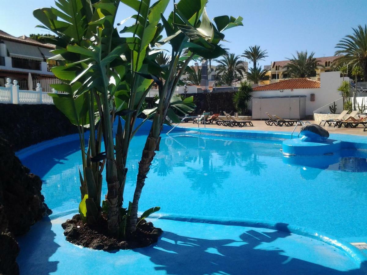 Paraiso Royal Dany & Pina Playa de las Americas  Luaran gambar